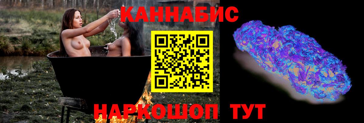 Конопля гибрид Щёкино